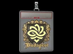 Sticker Slab | Legacy (Gold) | Budapest 2025