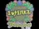Sticker | ewjerkz (Embroidered) | Budapest 2025 CS2 skin