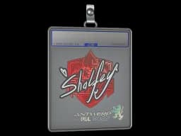 Sticker Slab | shalfey | Antwerp 2022