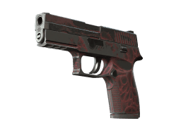 P250 | Contaminant (Battle-Scarred)