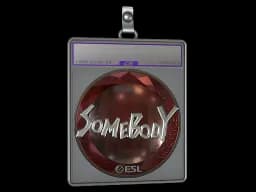 Sticker Slab | somebody (Foil) | Katowice 2019