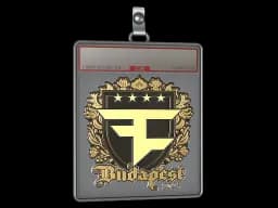 Sticker Slab | FaZe Clan (Gold) | Budapest 2025