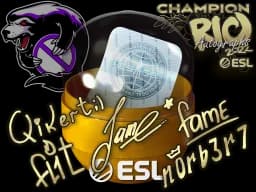 Rio 2022 Champions Autograph Capsule - CS2 Skin Prices