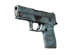 P250 | Forest Night (Well-Worn)