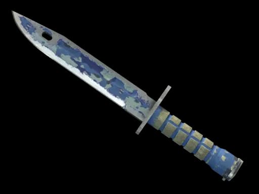 ★ StatTrak™ Bayonet | Bright Water (Battle-Scarred)