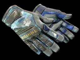 ★ Specialist Gloves | Mogul (Battle-Scarred)