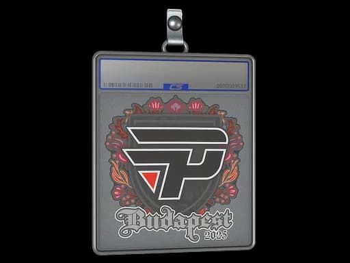 Sticker Slab | paiN Gaming | Budapest 2025