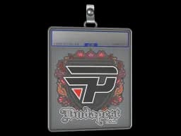 Sticker Slab | paiN Gaming | Budapest 2025