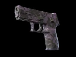 P250 | Plum Netting CS2 skin