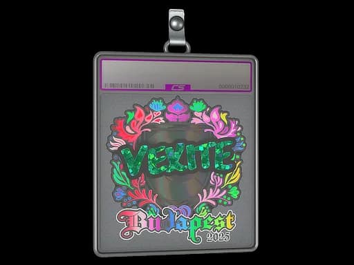 Sticker Slab | vexite (Holo) | Budapest 2025