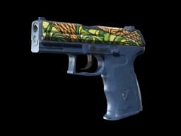 P2000 | Corticera CS2 skin