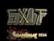 Sticker | exit (Gold) | Shanghai 2024 CS2 skin