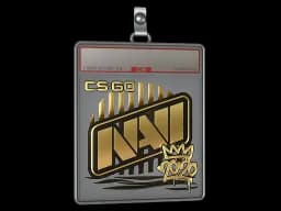 Sticker Slab | Natus Vincere (Gold) | 2020 RMR