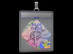 Sticker Slab | degster | Rio 2022