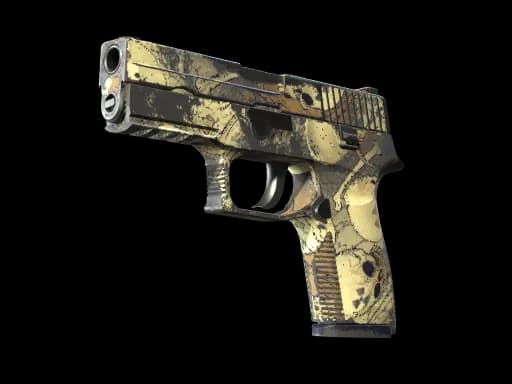 P250 | Contamination (Well-Worn)