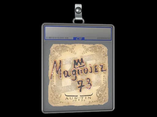 Sticker Slab | Magnojez | Austin 2025