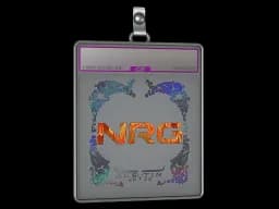 Sticker Slab | NRG (Holo) | Austin 2025