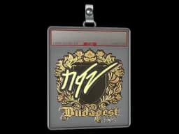 Sticker Slab | NQZ (Gold) | Budapest 2025