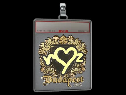 Sticker Slab | ropz (Gold) | Budapest 2025