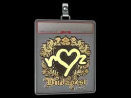 Sticker Slab | ropz (Gold) | Budapest 2025