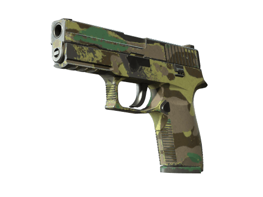 P250 | Boreal Forest (Well-Worn)