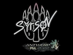 syrsoN | Antwerp 2022 - CS2 Skin Prices