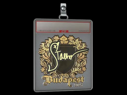 Sticker Slab | Staehr (Gold) | Budapest 2025