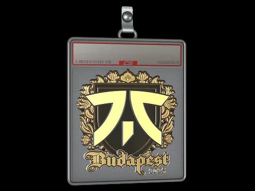 Sticker Slab | fnatic (Gold) | Budapest 2025