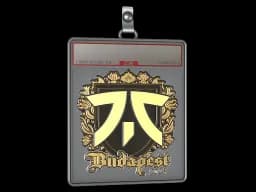 Sticker Slab | fnatic (Gold) | Budapest 2025