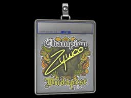 Sticker Slab | ZywOo (Champion) | Budapest 2025