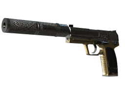 StatTrak™ USP-S | Lead Conduit (Factory New)