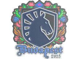Sticker | Team Liquid (Embroidered) | Budapest 2025