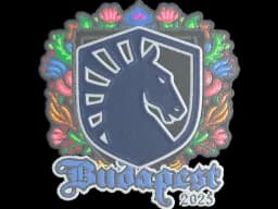 Sticker | Team Liquid (Embroidered) | Budapest 2025