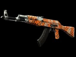 AK-47 | Safety Net (Well-Worn)