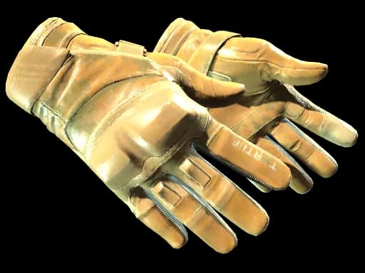 ★ Moto Gloves | Transport (Minimal Wear)