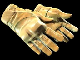 ★ Moto Gloves | Transport CS2 skin