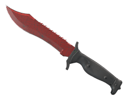 ★ StatTrak™ Bowie Knife | Crimson Web (Field-Tested)