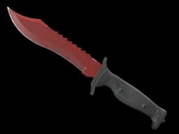 ★ StatTrak™ Bowie Knife | Crimson Web (Field-Tested)