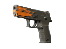 StatTrak™ P250 | Splash (Field-Tested)