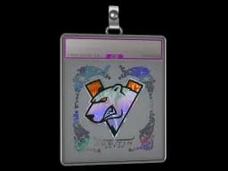 Sticker Slab | Virtus.Pro (Holo) | Austin 2025