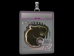 Sticker Slab | FURIA (Foil) | 2020 RMR