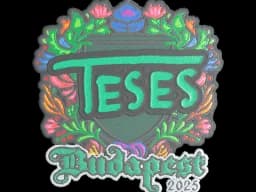 Sticker | TeSeS (Embroidered) | Budapest 2025