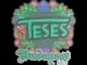 Sticker | TeSeS (Embroidered) | Budapest 2025 CS2 skin