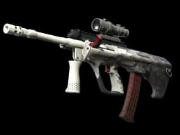 StatTrak™ AUG | Arctic Wolf (Well-Worn)