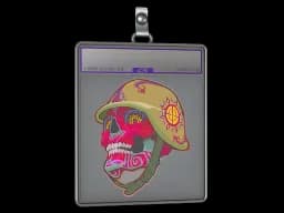 Sticker Slab | Max (Holo)