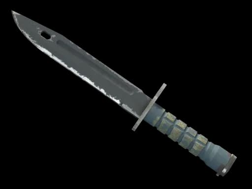 ★ StatTrak™ Bayonet | Night (Field-Tested)