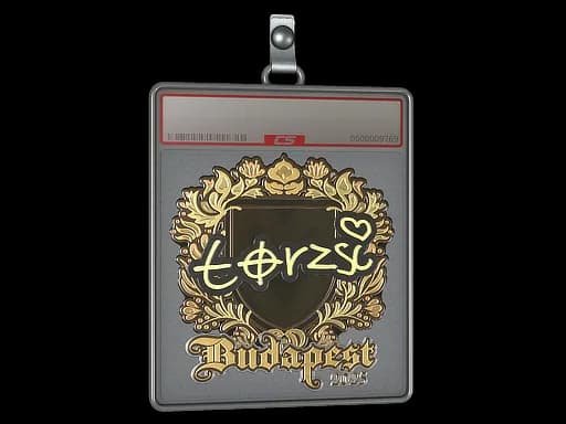 Sticker Slab | torzsi (Gold) | Budapest 2025