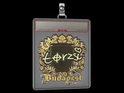 Sticker Slab | torzsi (Gold) | Budapest 2025