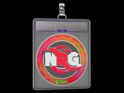 Sticker Slab | NRG (Holo) | Katowice 2019