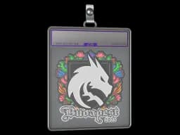 Sticker Slab | Team Spirit (Embroidered) | Budapest 2025